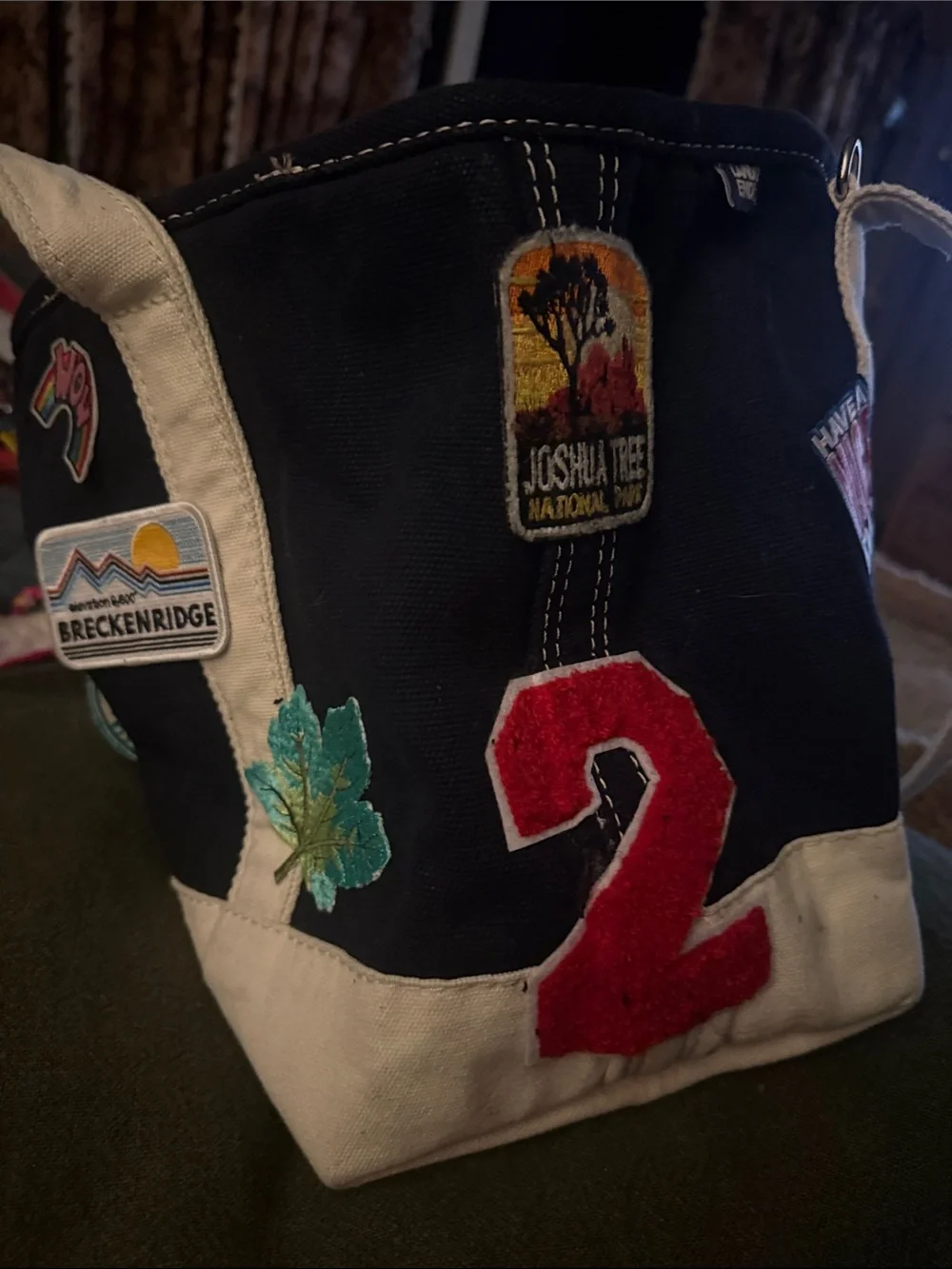 CUSTOM CANVAS PERSONALIZED PET CARRIER